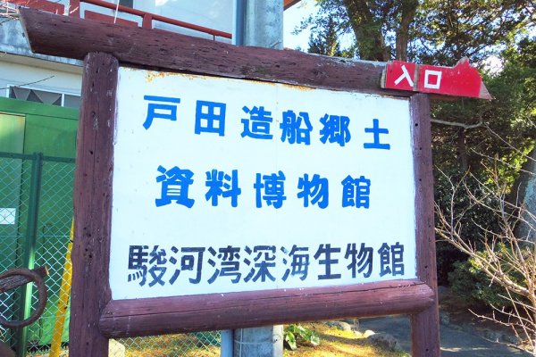深海の魅力を伝える駿河湾深海生物館