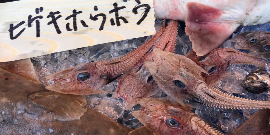 ぎょっ！とするけど、だんだんかわいく見えてくる