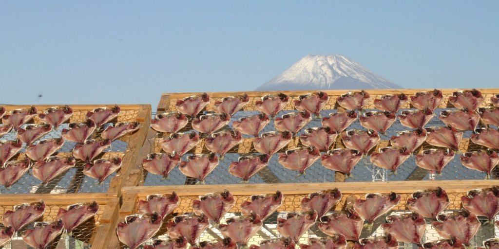 お土産にぴったり！沼津の干物　＜画像提供：沼津市＞