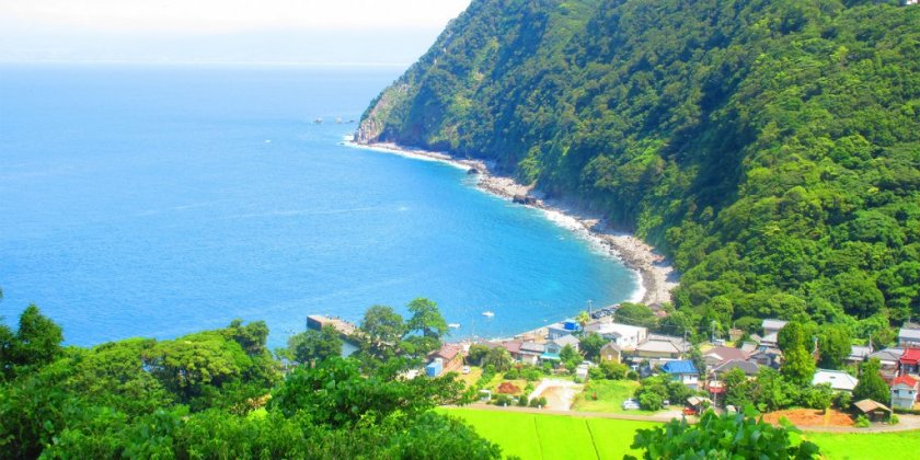 めぐみの海にびっくり 戸田 御浜 子どもライター 特集ライブラリー 沼津市公式観光サイト 沼津観光ポータル