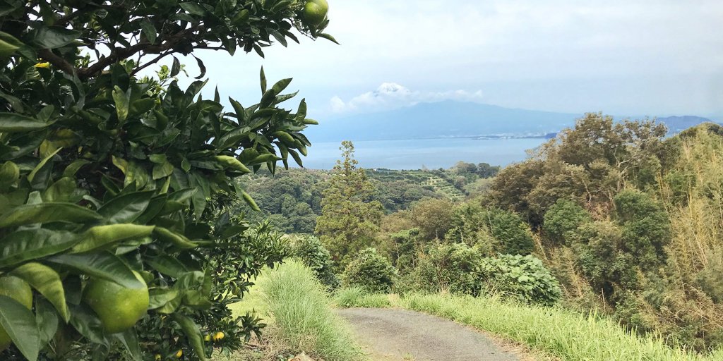 天気の良い日は駿河湾越しの富士山も！
