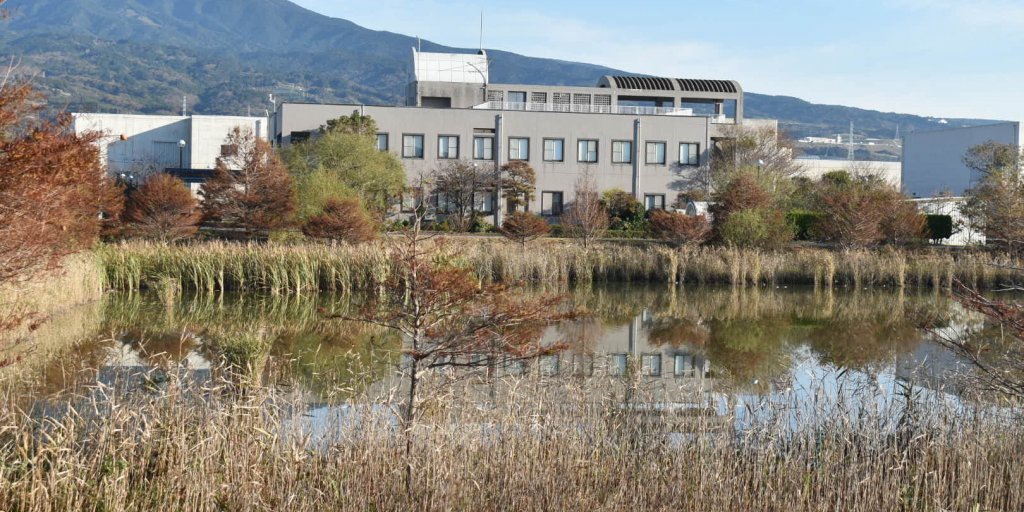 アクアプラザ向かいに見えるのは、狩野川西部浄水センター。池が広がっています。バードウォッチングもできます！