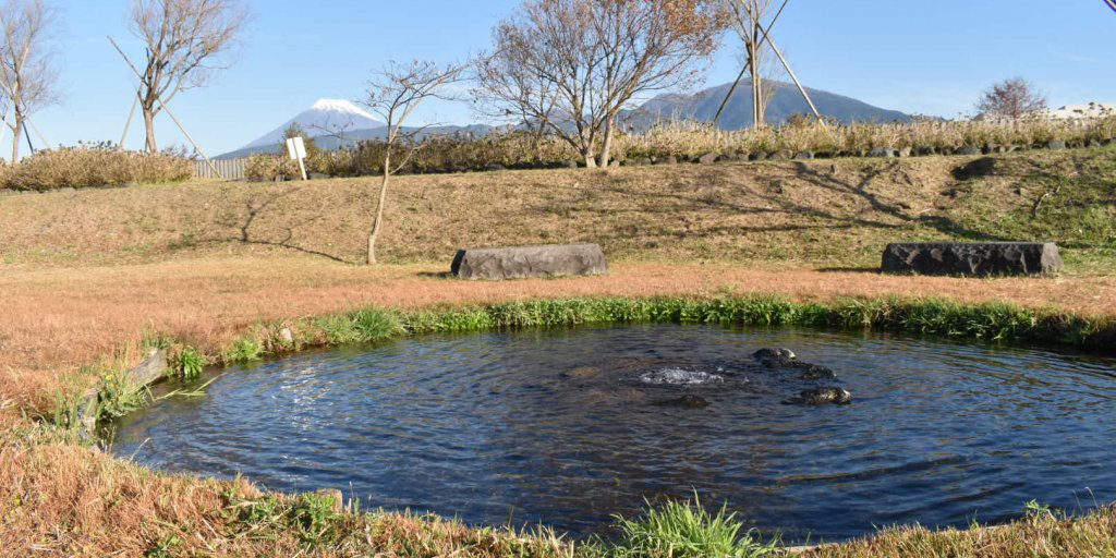 湧き水が湧いています