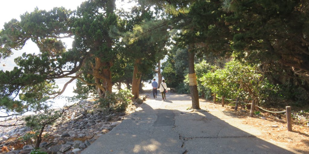 遊歩道が整備されています