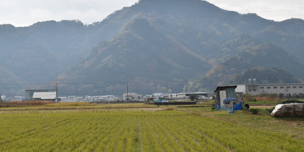 大平から見る景色は、一面、田んぼと山。